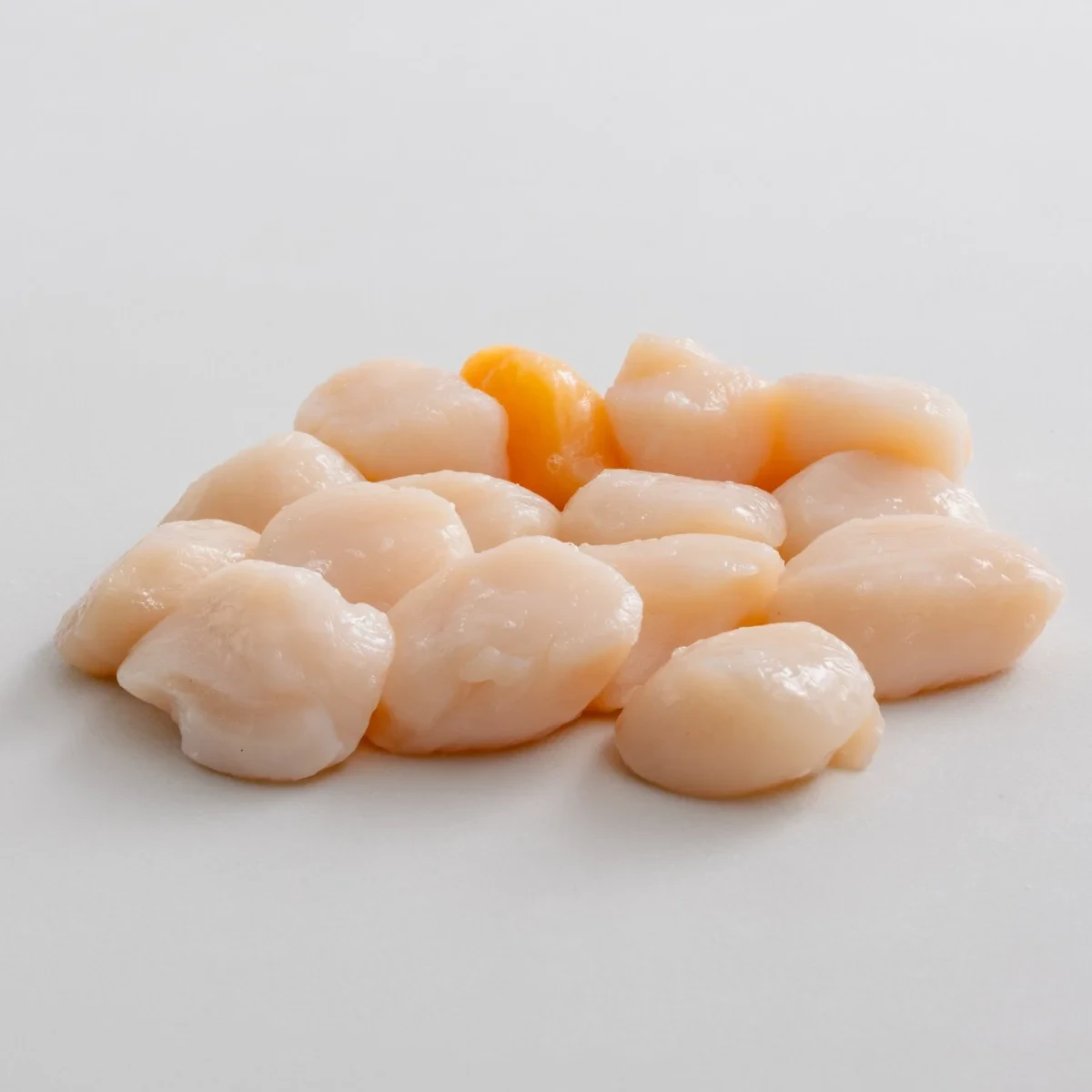 Wild Caught Scallops