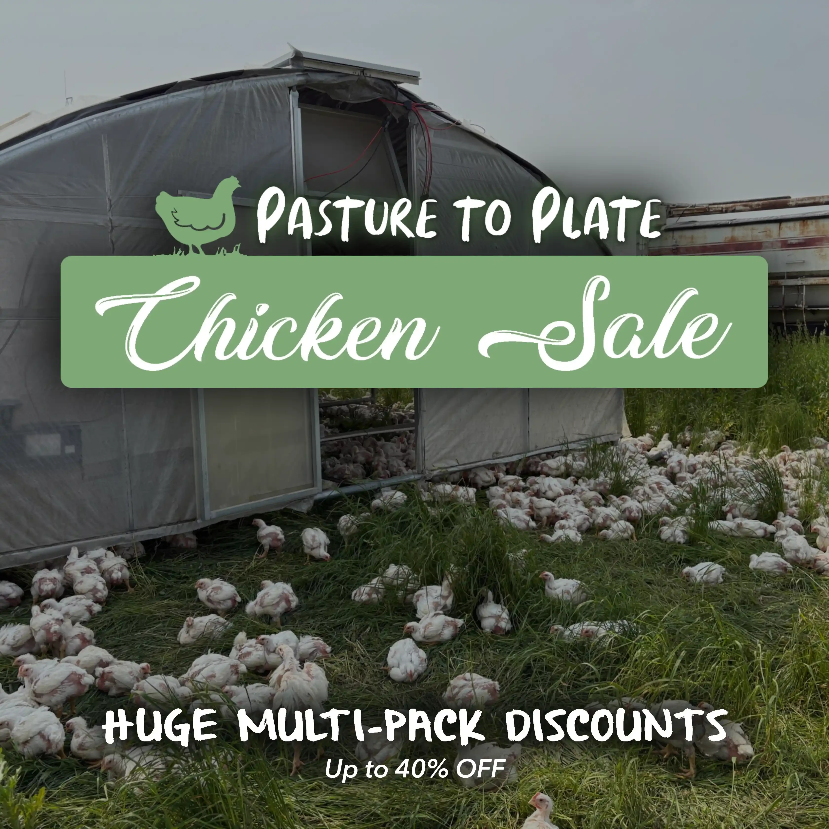 Chicken-Sale-Square.webp