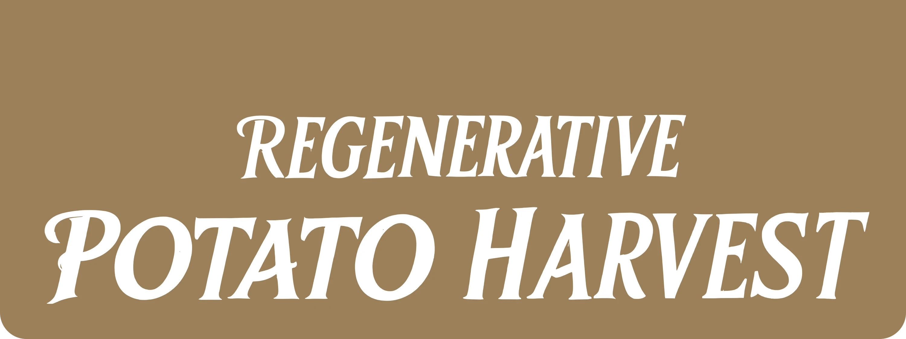Regenerative Potato Harvest
