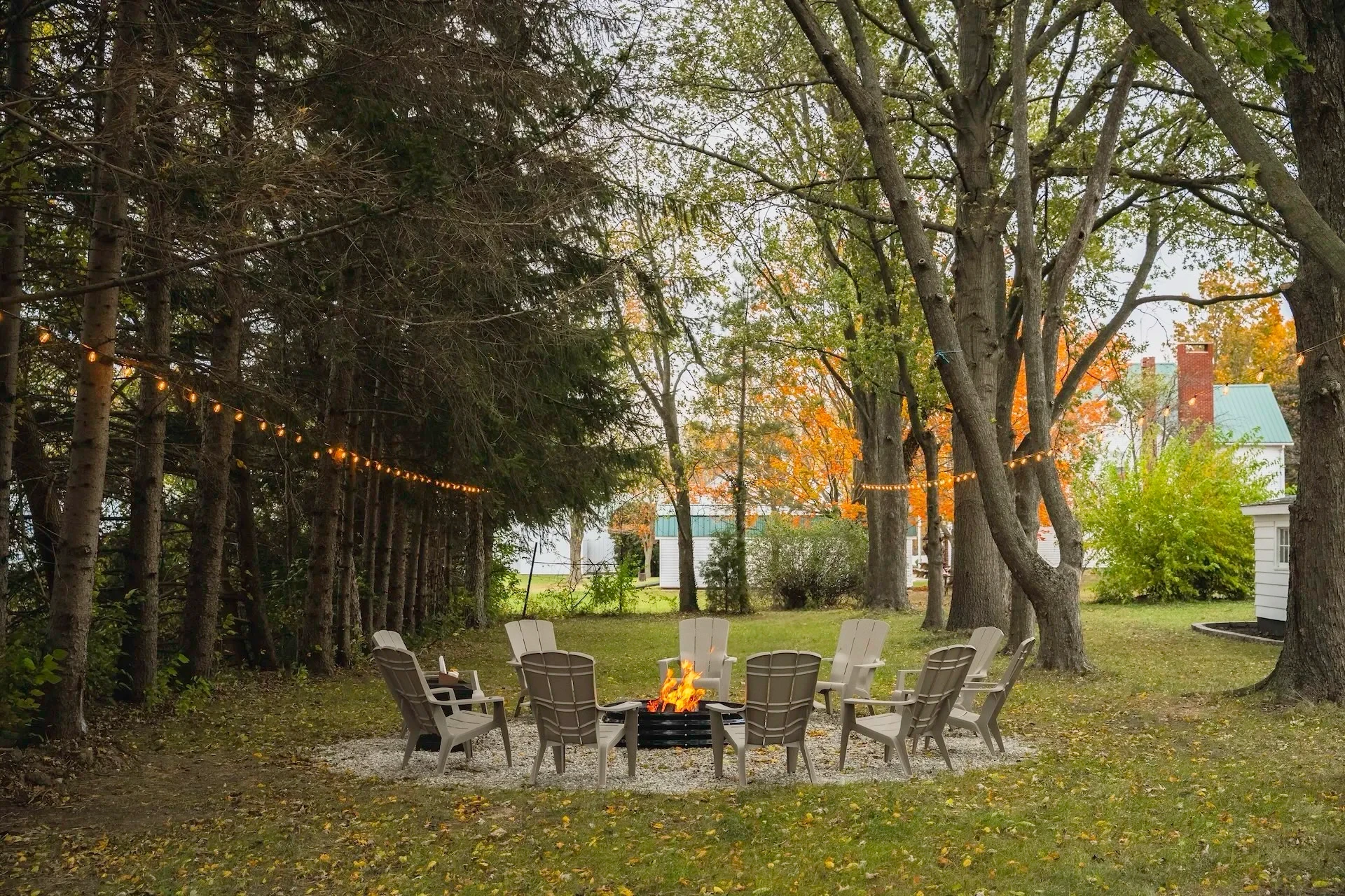 Backyard 2